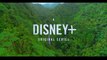 Epic Adventures with Bertie Gregory -  Official Trailer  Disney+