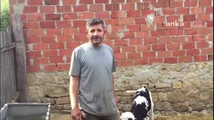 Tarım ve Orman Bakanlığı, Hayvancılık Desteğinde Besicileri Mağdur Eden 450 Gün Şartını 600 Güne Çıkardı