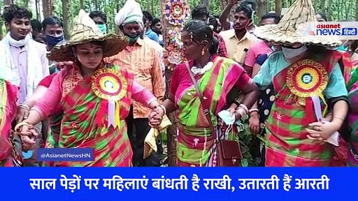 रक्षाबंधन ऐसा भी! भाई नहीं पेड़ों को बांधी राखी, 12 साल से परंपरा निभा रहीं ये बहनें... देखें Video