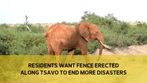 Residents want fence erected along Tsavo to end more disasters