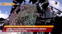 Hawái: realizarán operativos de limpieza en arrecifes de coral