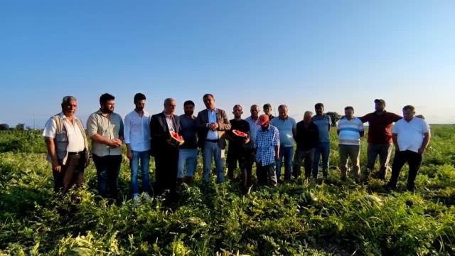 Samsun haberleri: CHP Samsun İl Başkanı Fatih Türkel: 6-7 Bin Dönüm Karpuz Tarlada Kalmış Durumda