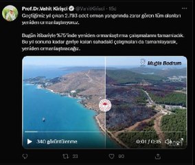 Bakan Kirişci Yanan ormanların yüzde 75'inde yeniden ormanlaştırma tamamlandı