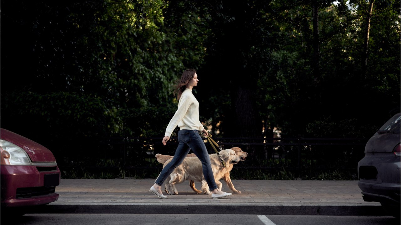 Feeling bored on dog walks? Test these 5 original ideas to make them fun again