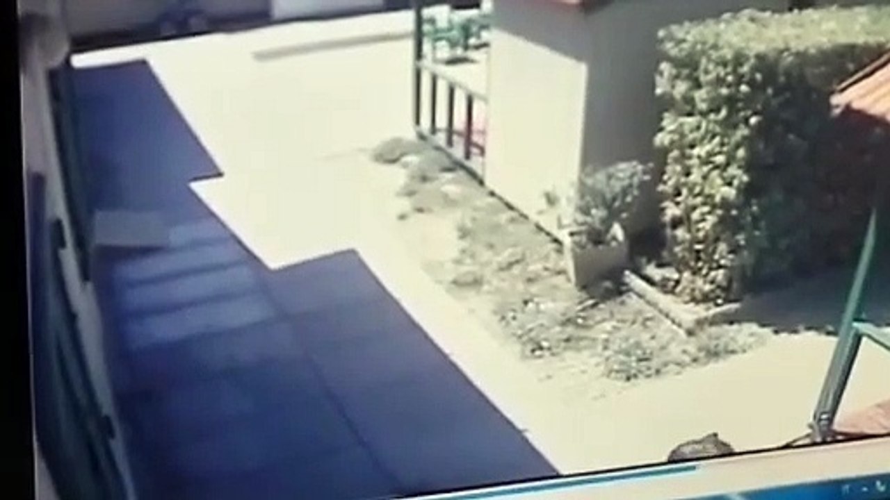 Forte dei Marmi, il suv impazzito dentro il Bagno Piero: la folle corsa, donne miracolate