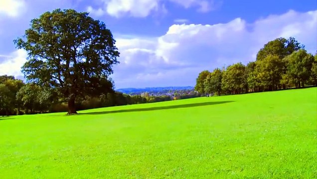 Music Study Relaxing Harp, Relaxation, Meditation, Sleep Instrumental Background Music