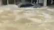Ce camion traverse des inondations et détruit toutes les vitrines de magasin (Émirats arabes unis)
