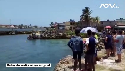 ¡Increíble! Fuga de delfines en acuario de Cuba