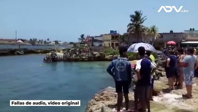 ¡Increíble! Fuga de delfines en acuario de Cuba