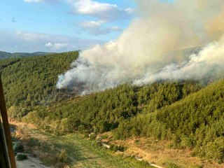 Video herunterladen: Balıkesir gündem haberi | BALIKESİR - Orman yangınına karadan ve havadan müdahale ediliyor