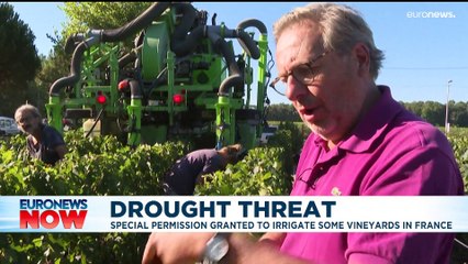 Latest news bulletin | August 4th – Evening