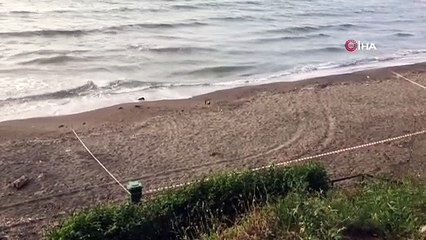 Rus yapımı mayın tetikleyicisi Ordu sahiline vurdu