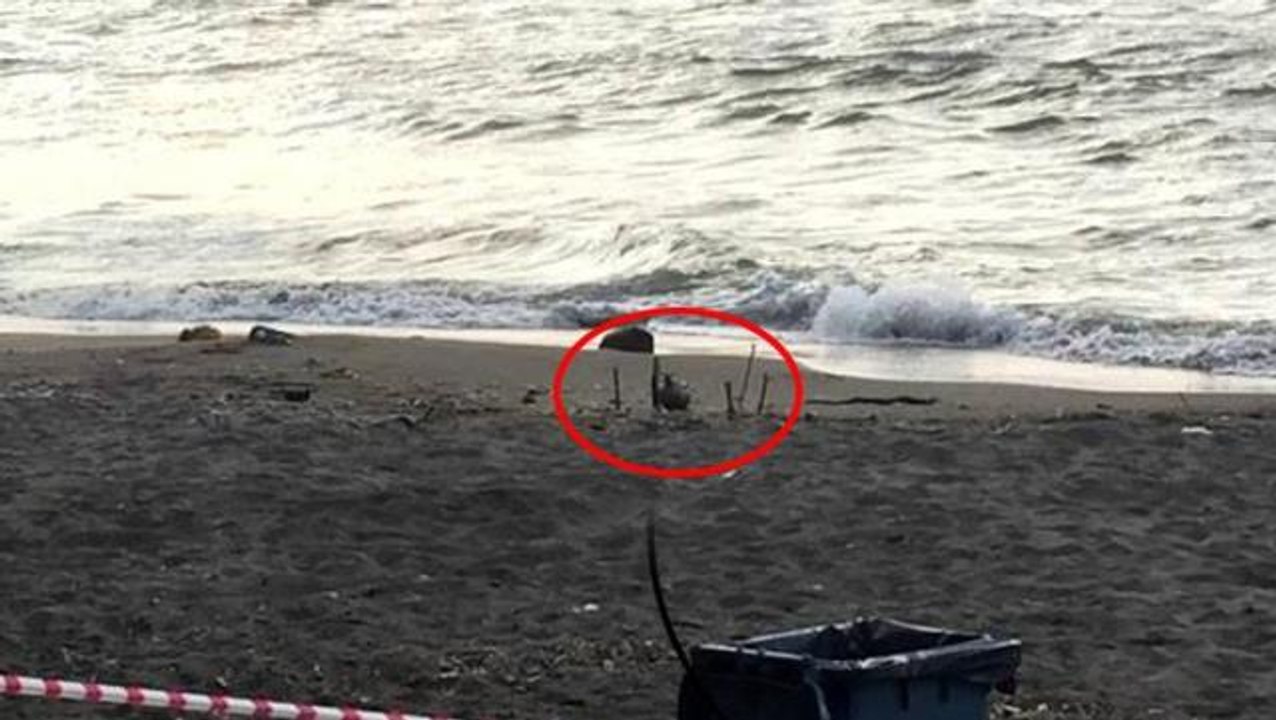 Ordu sahilinde mayın paniği! Bölgede kuş uçurtulmuyor, ekipler teyakkuzda