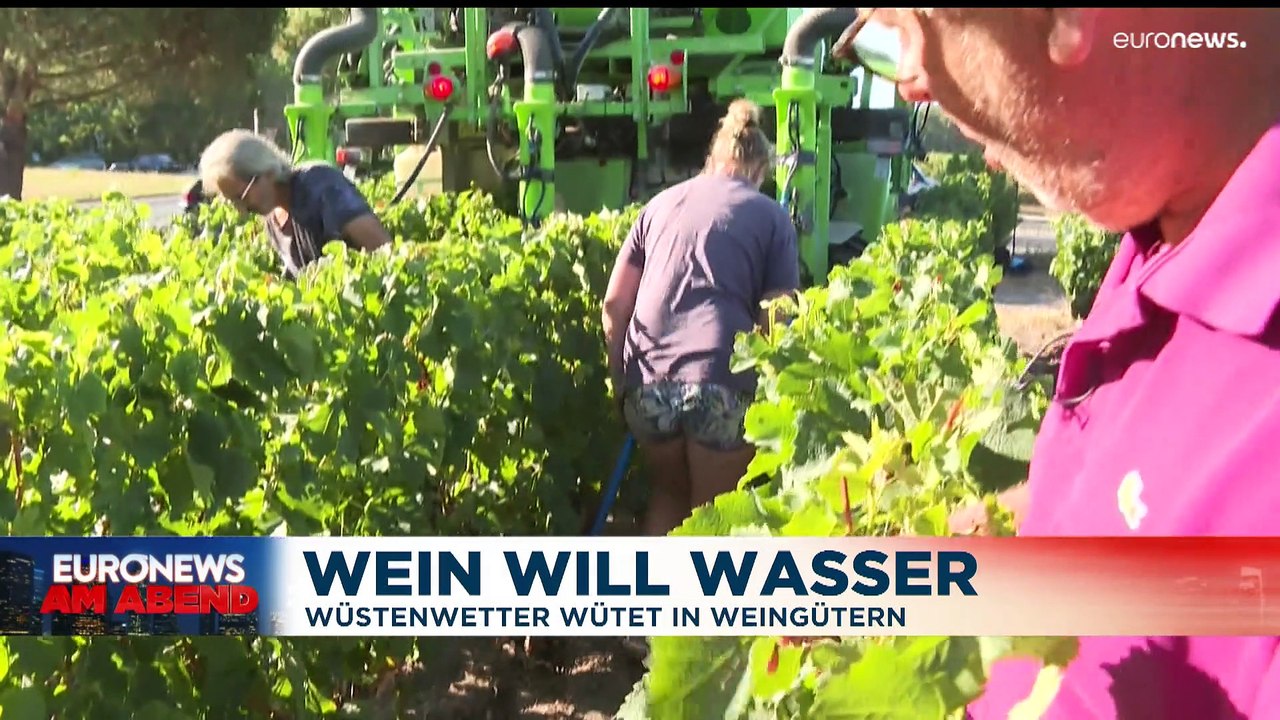 Nachrichten des Tages | 4. August - Abendausgabe