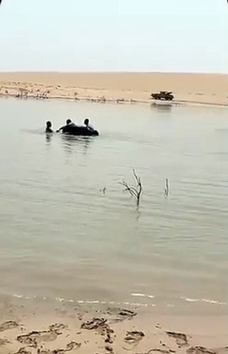 شاهد كيف تحولت الصحراء الى بحيرة - نحن في فصل الصيف وعز القيض في شهر من أجف الشهور ومع ذلك هطلت امطار بعضها كان غزير - اثار السيول جنوب يبرين المقطع
