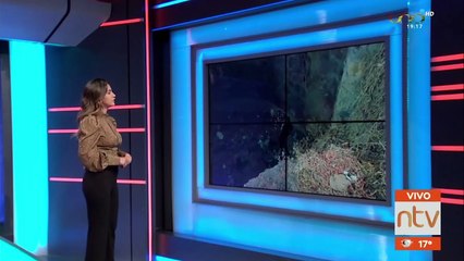 Encuentran el cuerpo sin vida de un hombre