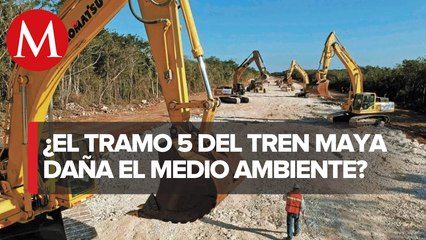 Revocan amparo ambiental al tramo 5 del Tren Maya
