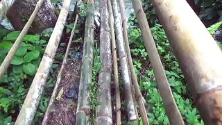 Jembatan unik terbuat dari bambu