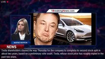 Elon Musk Suggests Big Tesla Factory Expansion Plans - 1BREAKINGNEWS.COM