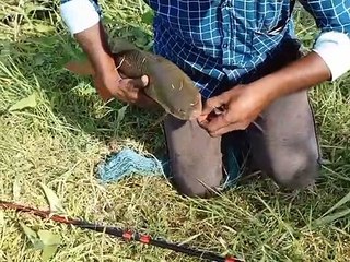 Hook Fishing in Village River #fish #hook_fishing
