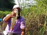 Most Satisfying Fishing Video #fish #fishing