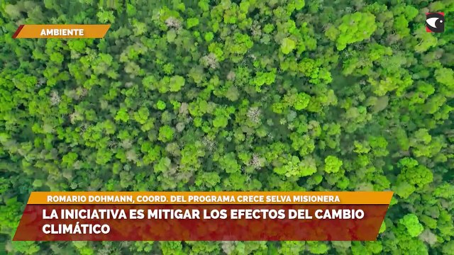 La iniciativa es mitigar los efectos del cambio climático
