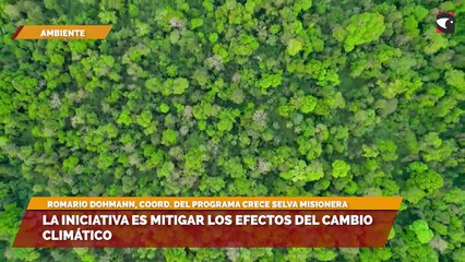 La iniciativa es mitigar los efectos del cambio climático