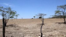 Em Cajazeiras, ativista alerta para mudanças climáticas que aceleram processo de desertificação