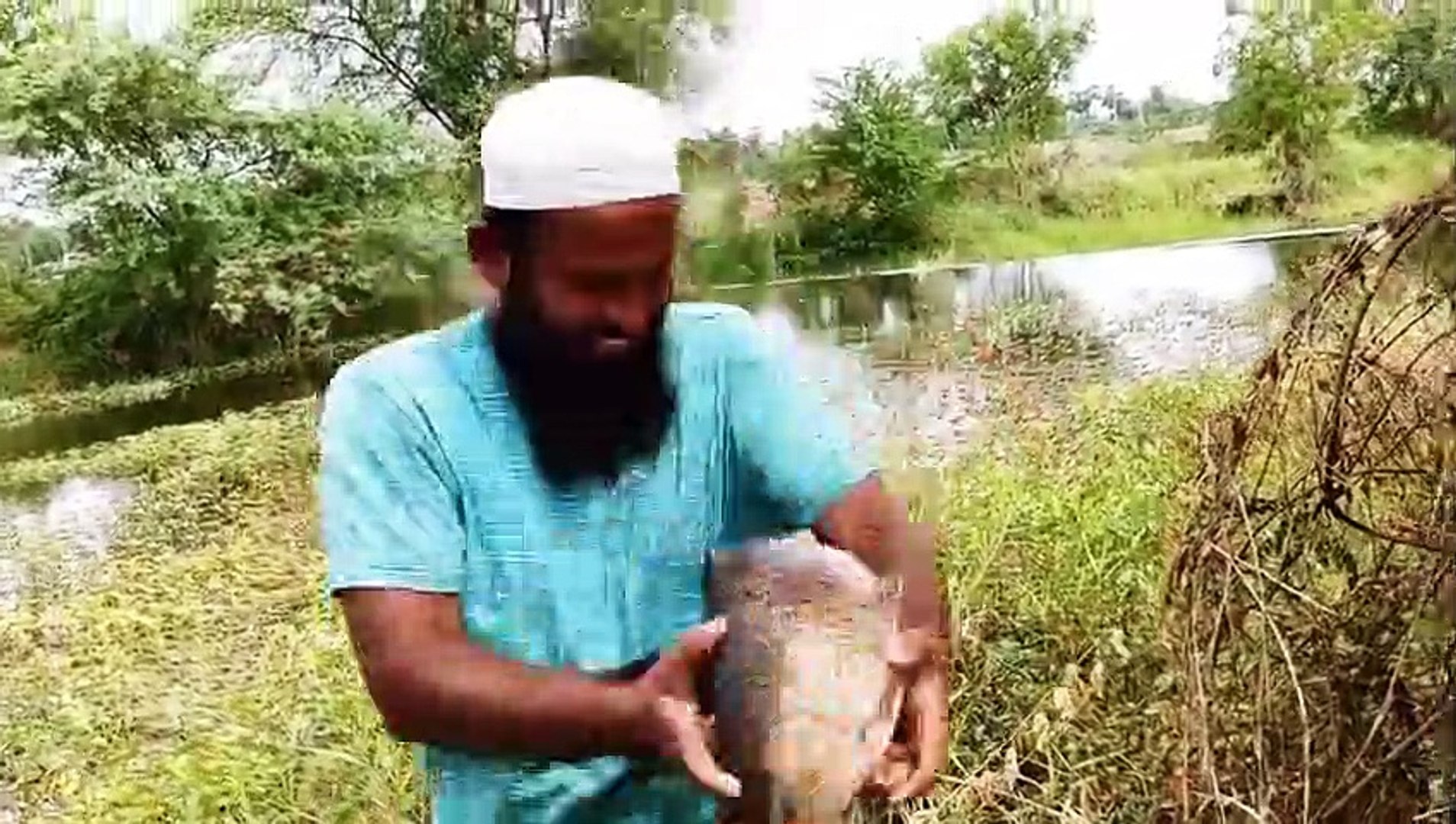 Wow! Most Attractive Fishing Video #fish #fishing