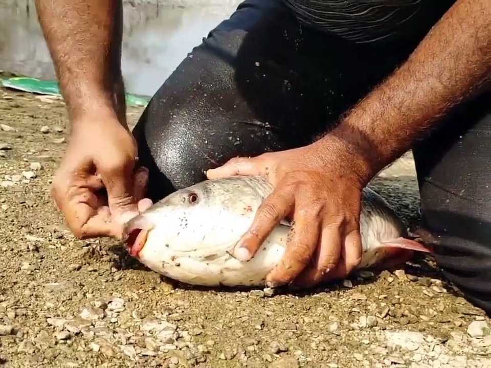 ncredible fishing with hook catch big fishes #fish #fishing