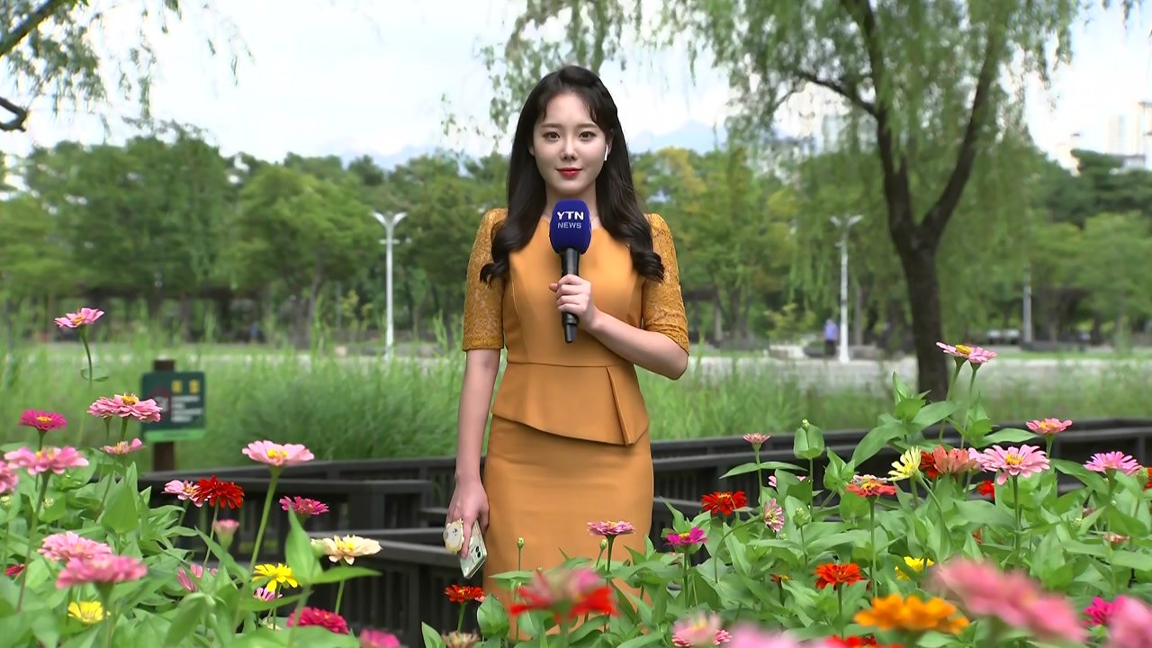 [날씨] 찜통더위 맹위, 서울 31.7℃...주말 무더위 속 소나기 / YTN