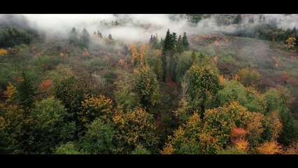 The Most Dangerous Game Trailer #1 (2022) Tom Berenger, Casper Van Dien Thriller Movie HD