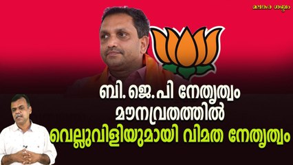 മൗനം വിദ്വാന് ഭൂഷണം പുതിയ നിലപാടുമായി ബി.ജെ.പി നേതാക്കള്‍