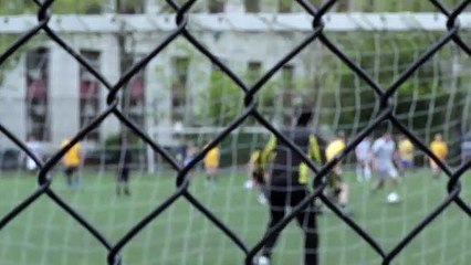 Pexels Videos 3882.mp4