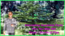Interesting Awesome Facts You You May Not Know  Shortleaf Pine