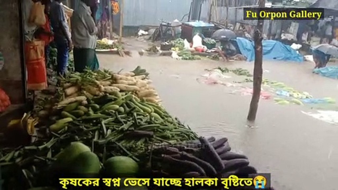 বৃষ্টির পানিতে ভেসে যাচ্ছে কৃষকের স্বপ্ন। Farmer's dream is floating in the water. Fb page:- Fu Orpon