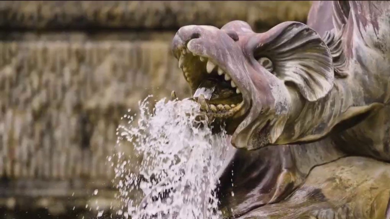 Coulisses - Les Grandes Eaux Nocturnes de Versailles