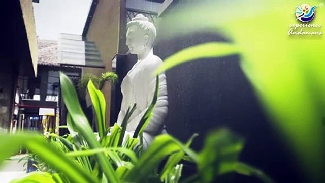 Haywizz Havelock Island Pool Resort By Experience Andamans