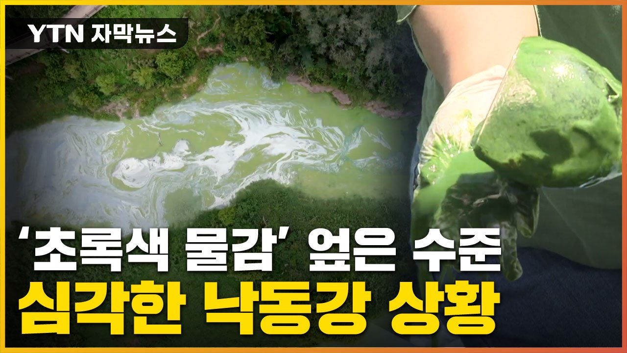 [자막뉴스] '독성 물질 검출' 녹색 낙동강...수돗물도 '비상' / YTN