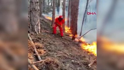 Son dakika haber | Mersin'de orman yangını 3'üncü gününde