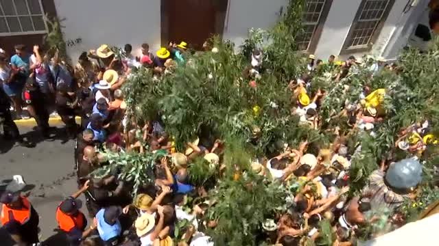 Las fiestas de la Rama en Gran Canaria, un antiguo rito para invocar las lluvias