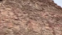 Elazığ gündem haberleri | Elazığ'da dağ keçileri görüntülendi