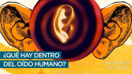 ¿Sabías que puedes saborear con los oídos?