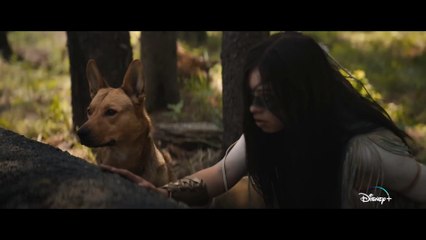 Sem planos para sexta-feira? O novo 'Predador' chegou ao Disney+