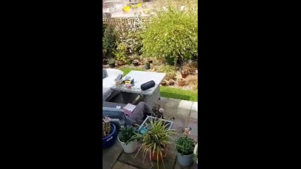 Dust and noise problems at Orchard Chase development