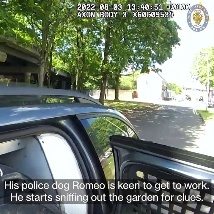 West Midlands Police dog Romeo finds a car thief suspect in a loft in Great Barr Birmingham