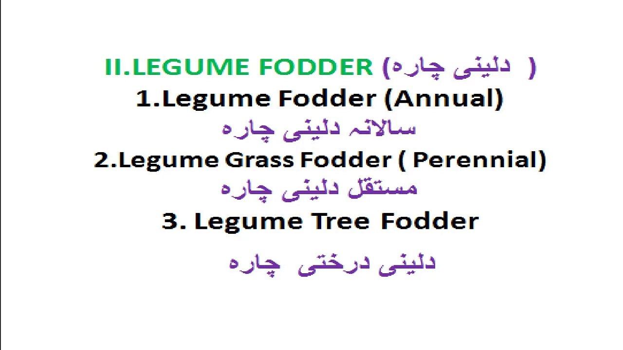 LEARN GOAT FARMING-  LEGUME AND NON-LEGUME GREEN FODDERS FOR GOATS -PART 11