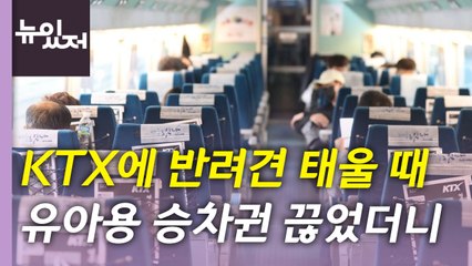 [뉴있저] 거리에 2,200만 원 뿌리고, 직접 분실 신고? / YTN