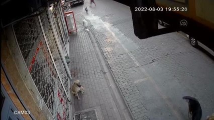 Sahipsiz köpeğin saldırdığı 2 bisikletli yaralandı