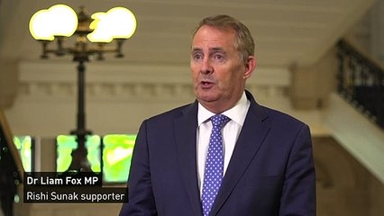 Sunak is ‘safe pair of hands’ for crisis, says supporter